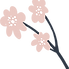 平岡 歯医者