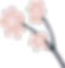 Flower Plant