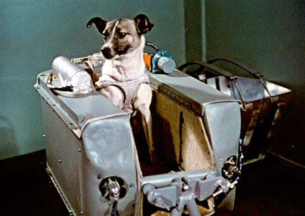 Laika