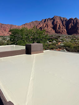 Roof Coating