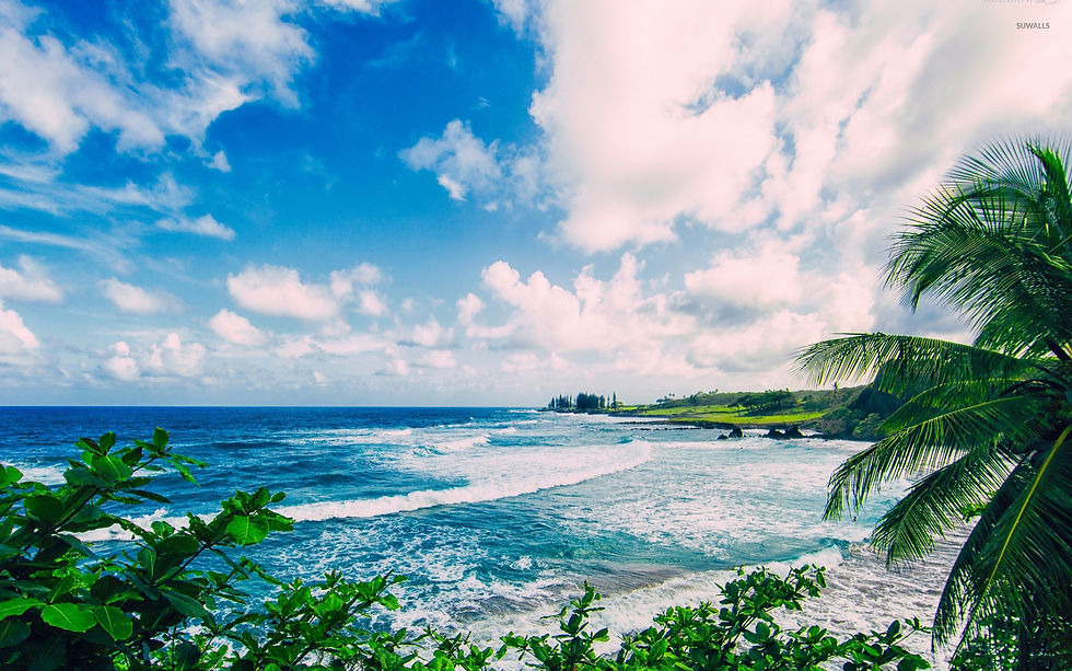 Maui 2.jpg