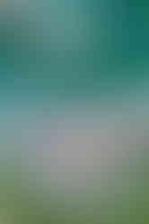 mf_soramachi_005