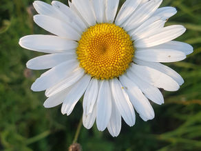 Dwa rodzaje miłości