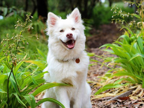 Już kiedyś tak kochałam..