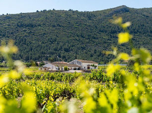 Casa Agricola Llíber: Pepe Mendoza and Mediterranean Wine Culture