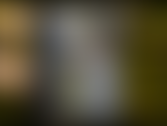 questions to ask an elopement photographer