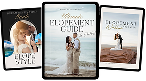 ULTIMATE GUIDE BUNDLE.png