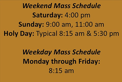 Website Mass Info.jpg