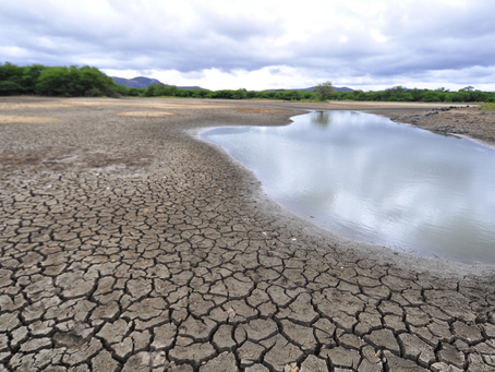 Pernambuco decreta Situação de Emergência para 75 municípios afetados pela estiagem