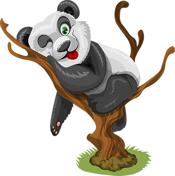 panda-1454629_1280_edited.png