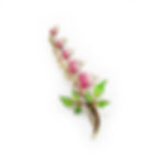 antique Art Nouveau enamel bleeding heart brooch pin front view