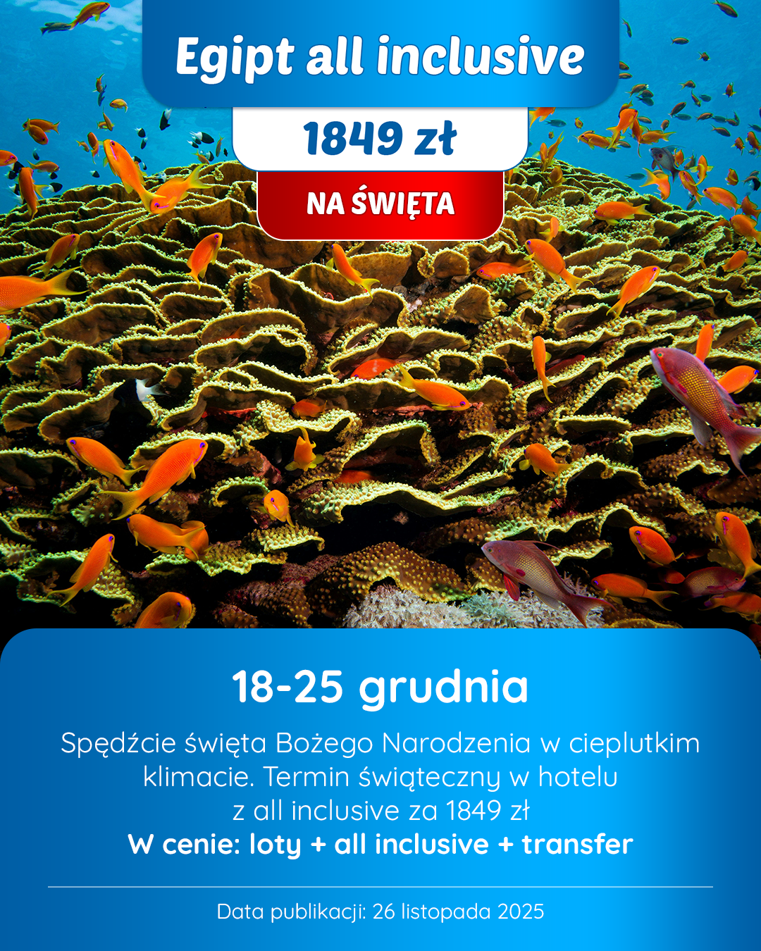 Egipt na święta ALL INCLUSIVE