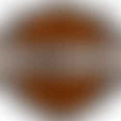 The Motorcycle brand that rose from scratch