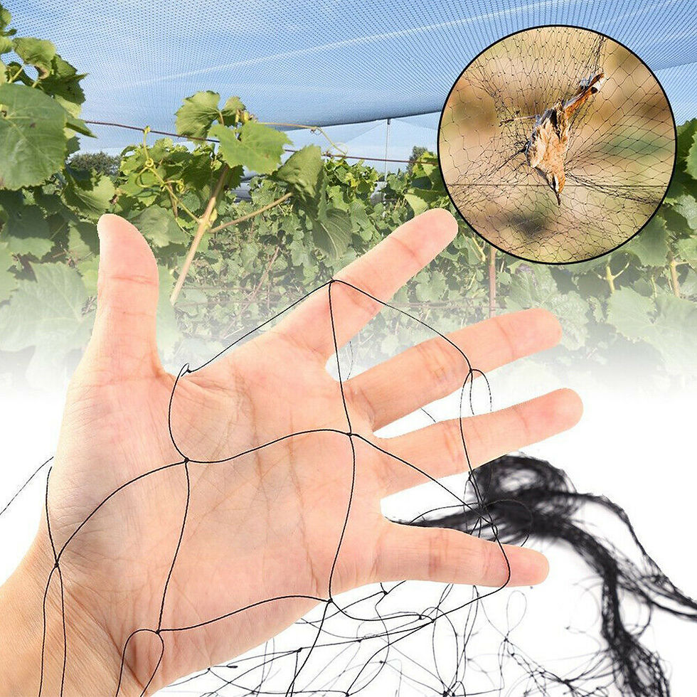 Thumbnail: 33FT Anti Bird Netting Pond Net Protection Tree Crops Plants Fruits Garden Mesh