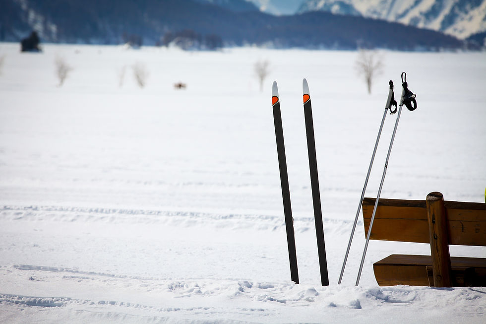 Ski poles and a bench in snowy landscape with distant trees and mountains in background. Bright, tranquil winter setting.