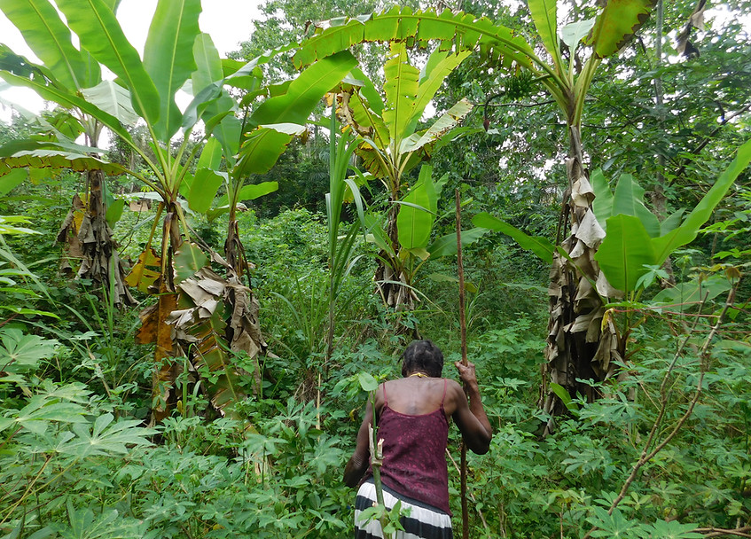 Fannie Padmore leading a bush tour