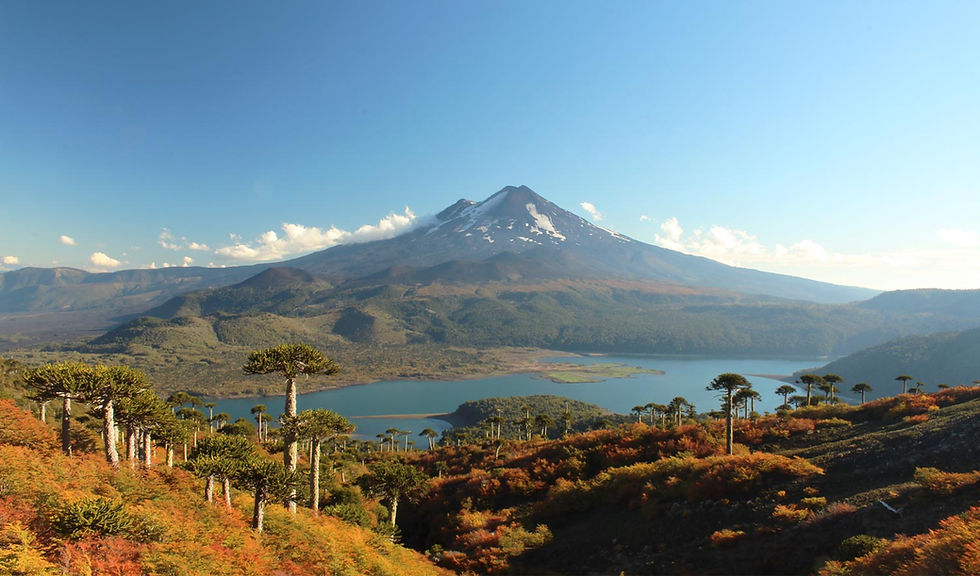 parque-nacional-conguillio-melipeuco