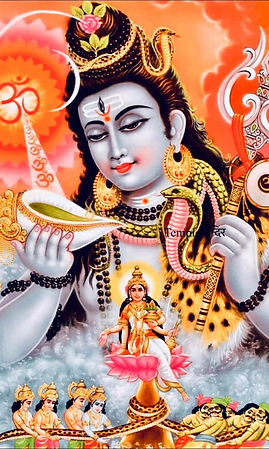 nataraja 5 - saç yılan.jpg