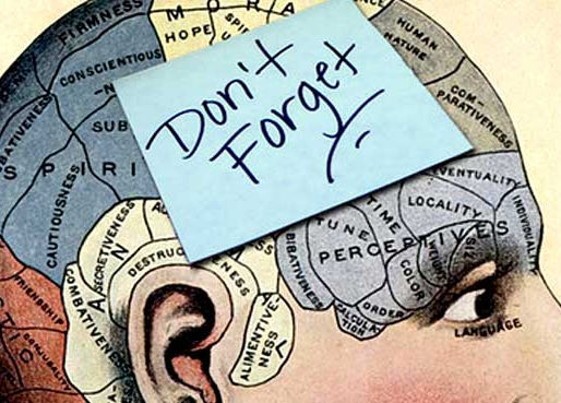 Increasing Brain Health!