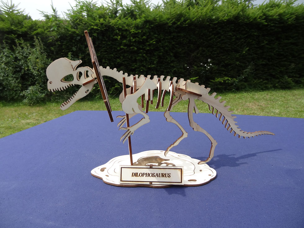Puzzle 3D enfants "Dilophosaurus"