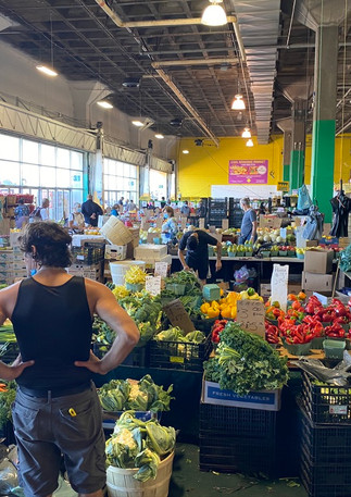 merchants mart veggie market.jpeg