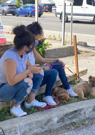 Young women seeking shade on a hot day are relegated to sitting on a concrete curb. We’ve seen a lack of seating, public green space, and shade.