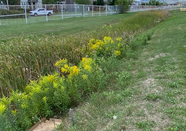 fences and bioswales line the runway.jpe