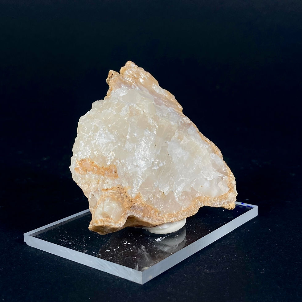 Miniatura: Pizoid Jaskiniowy