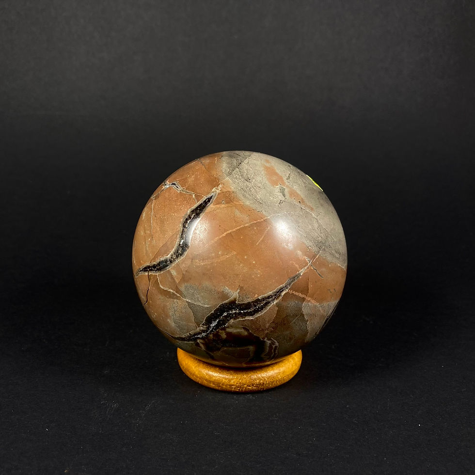 Miniatura: Septaria kula