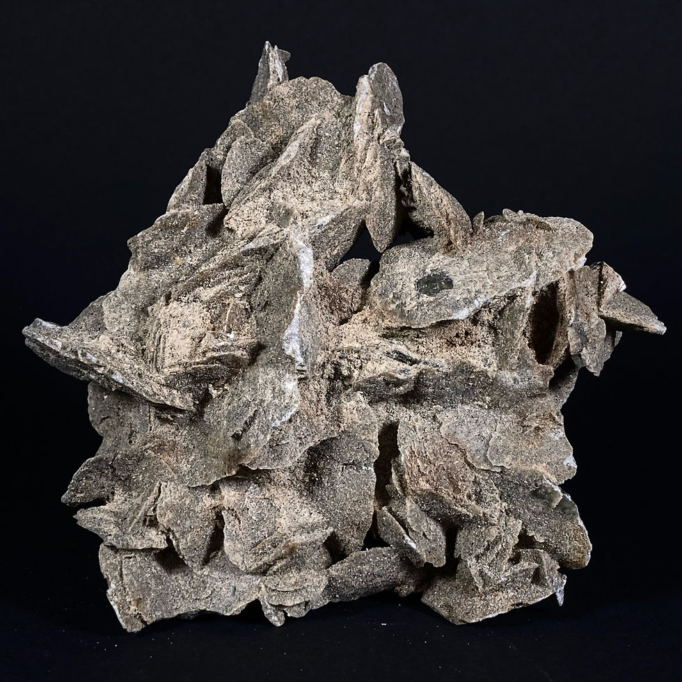 Miniatura: Róża pustyni