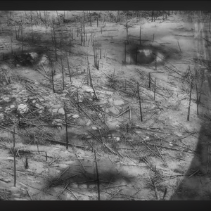 Emotional Montage (2026)