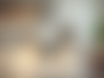 Tips for a Successful Home Renovation Project