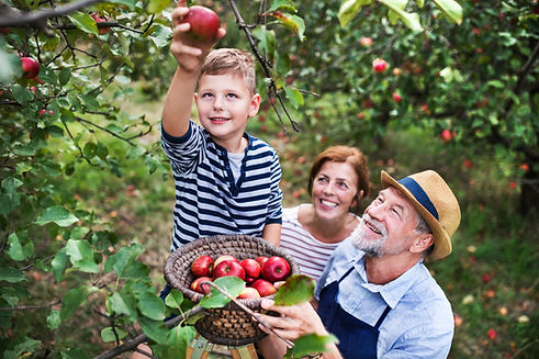 shutterstock_1222017790.jpg