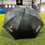 Thumbnail: Umbrella
