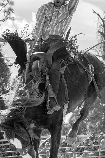 bronc-2.jpg