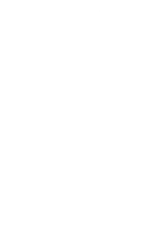 PortfolioCoverSketch copy.png