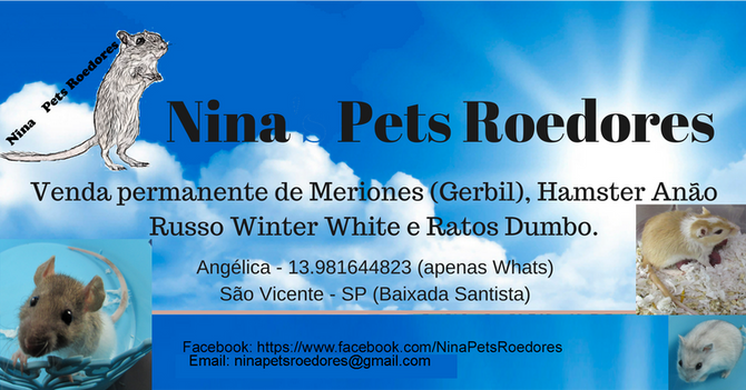 Formalização dos Criadores de Pets