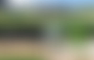 In the Park: Fitness