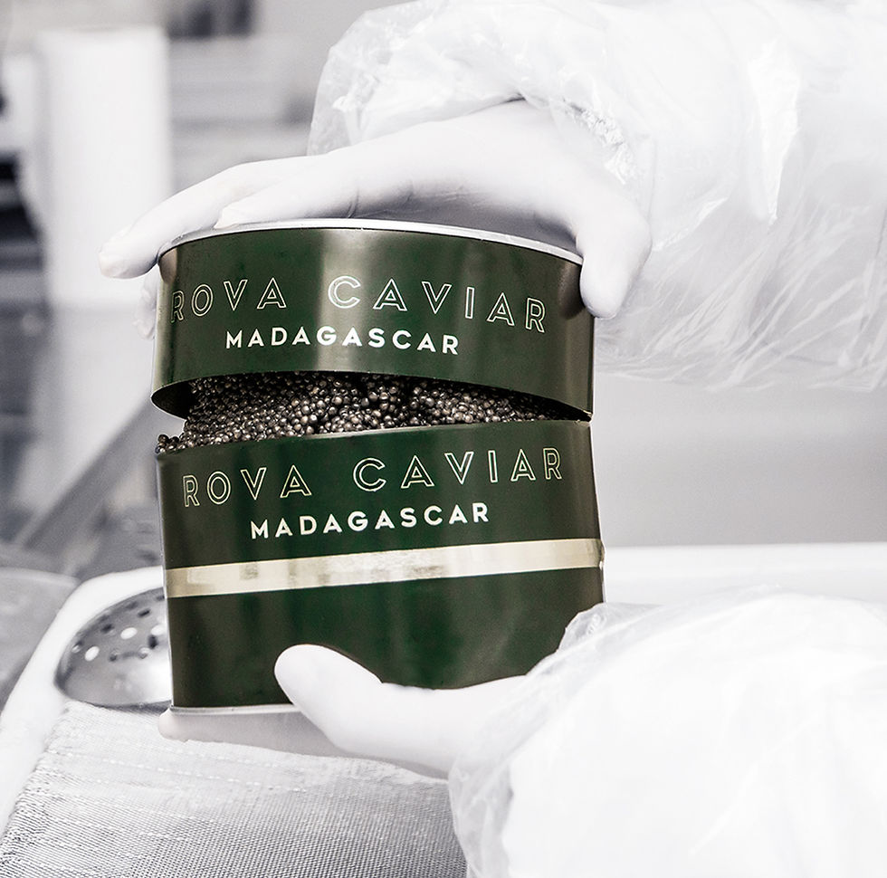 Rova Caviar Masterclass 