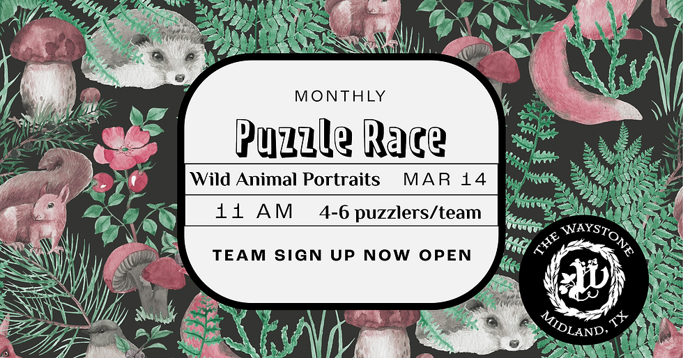 Puzzle Race