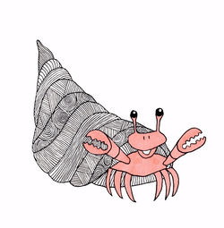 Hermit Crab