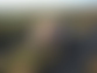 Qu'est-ce qu'un chien ?
