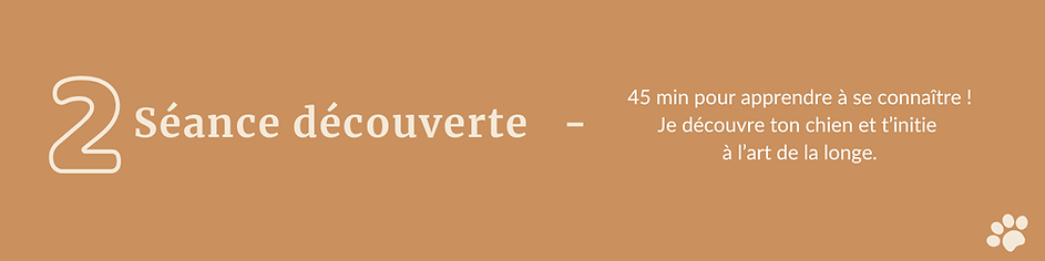 Étape 2 : séance découverte