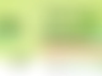 🌿 El Cauca presente en la COP-16: Unidos por la sostenibilidad 🌍