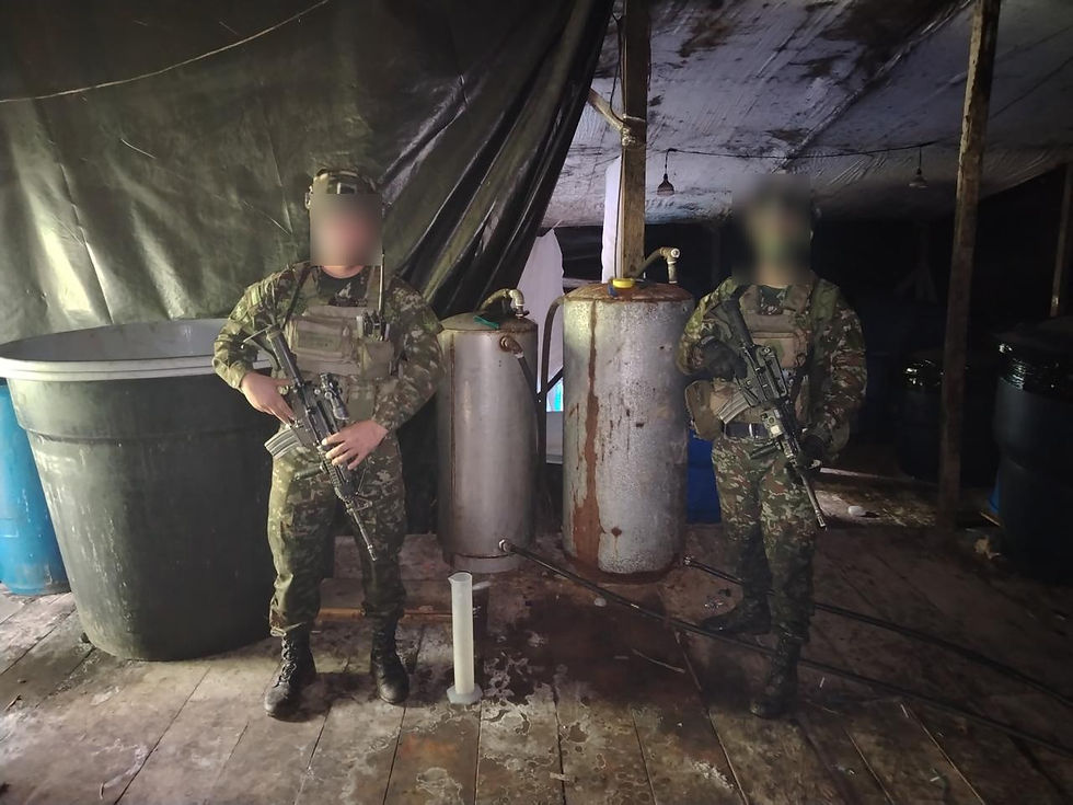 Dos laboratorios para el procesamiento de cocaína compuestos por 17 estructuras son hallados por el Ejército en Cauca y Nariño