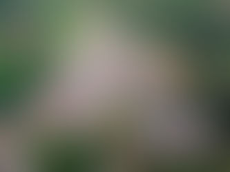 Dos civiles heridos por ataques con explosivos en Argelia