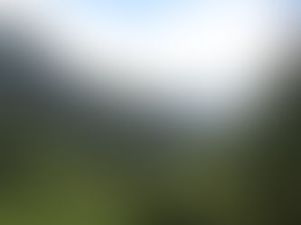 Crece preocupación en el Huila por intención de la ANT de entregar 47.000 hectáreas a resguardos indígenas del Cauca