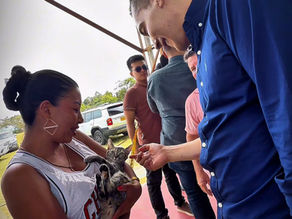 Cerca de 200 perros y gatos fueron beneficiados en jornada de esterilización liderada por el Gobernador del Cauca en Timbío