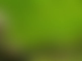 Hay una baja erradicación de coca en el Cauca frente a Nariño: “apenas 2.000 hectáreas en proceso”