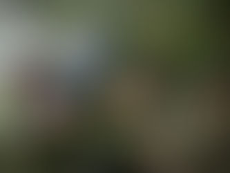 Roban en Bogotá un sistema antidrón que la Gobernación del Cauca había entregado al Ejército